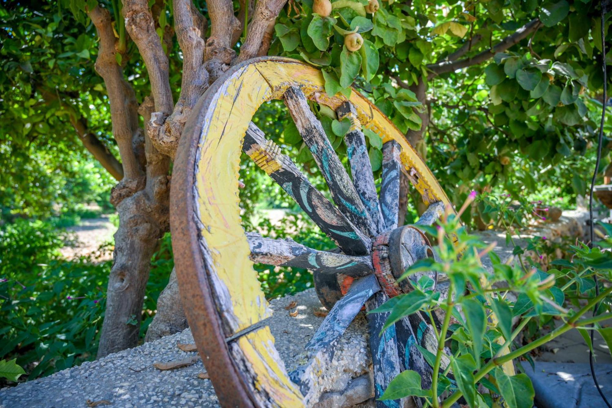 Agriturismo Torre Vendicari Ното Екстериор снимка